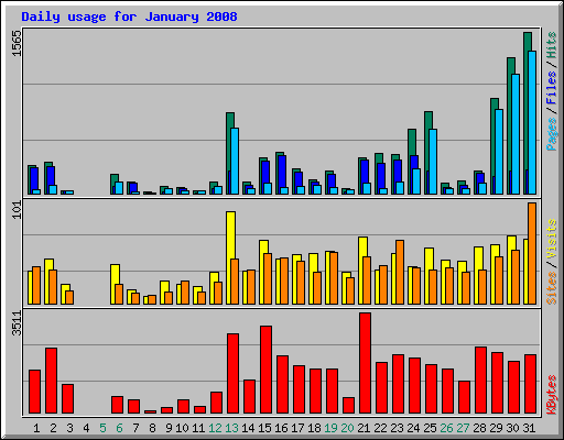 Daily usage for January 2008
