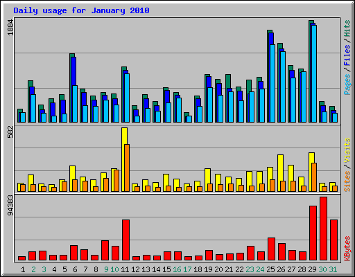 Daily usage for January 2010