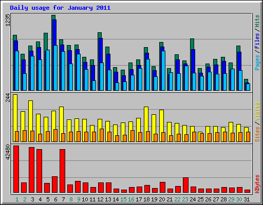 Daily usage for January 2011