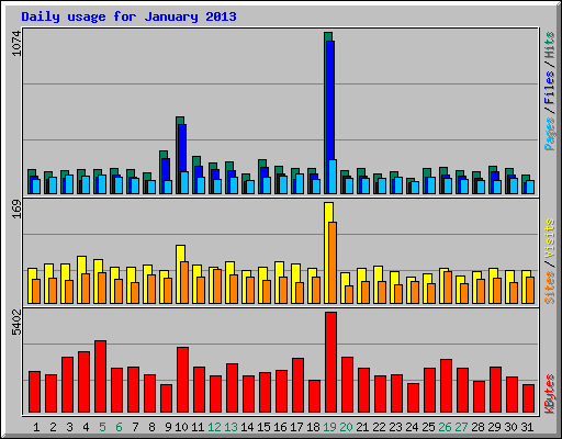 Daily usage for January 2013
