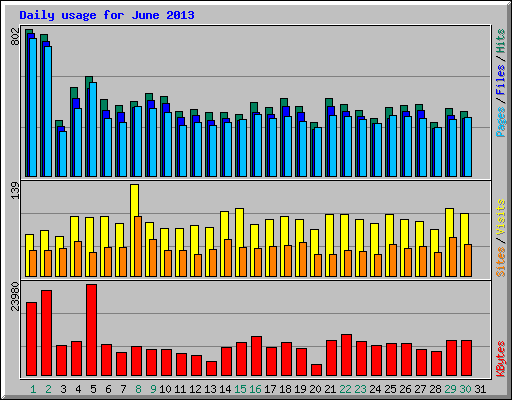 Daily usage for June 2013