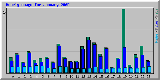 Hourly usage for January 2005