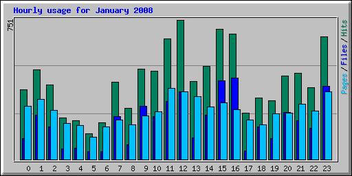 Hourly usage for January 2008