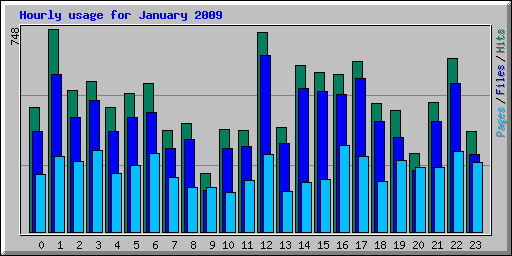 Hourly usage for January 2009