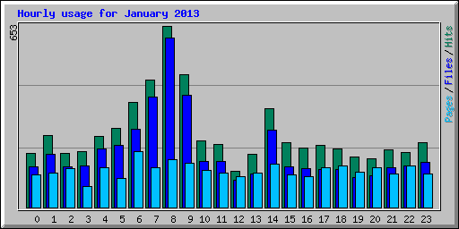 Hourly usage for January 2013