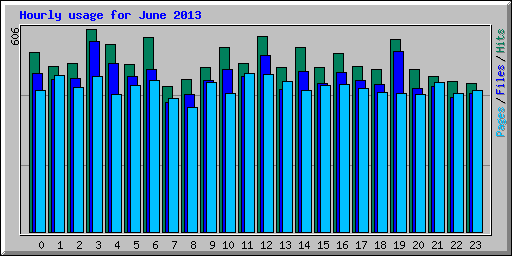 Hourly usage for June 2013