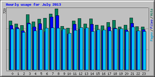 Hourly usage for July 2013