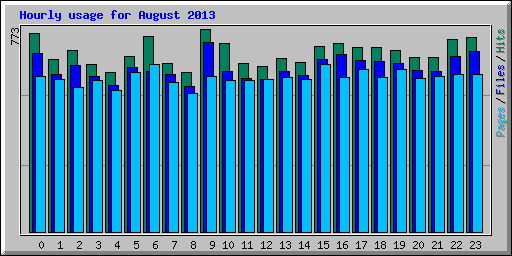 Hourly usage for August 2013