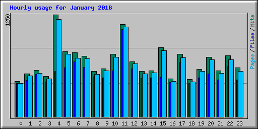 Hourly usage for January 2016