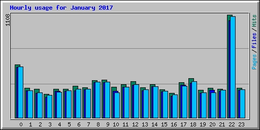 Hourly usage for January 2017