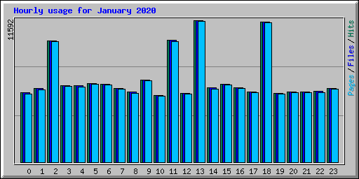 Hourly usage for January 2020