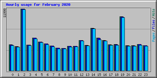 Hourly usage for February 2020